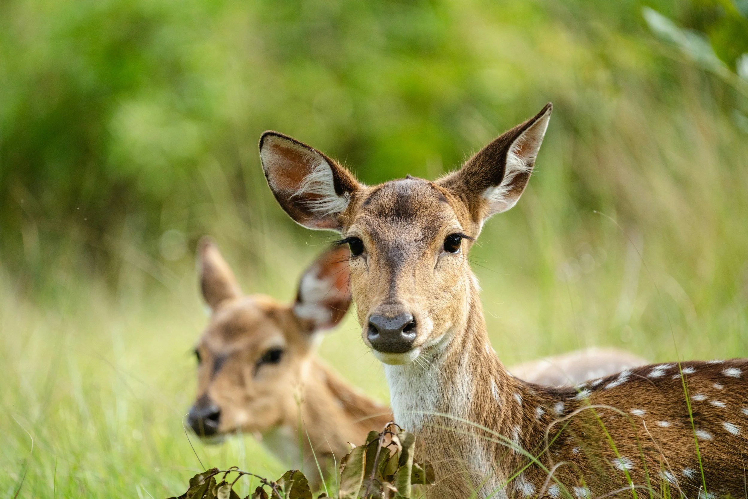 Get rid of the stress