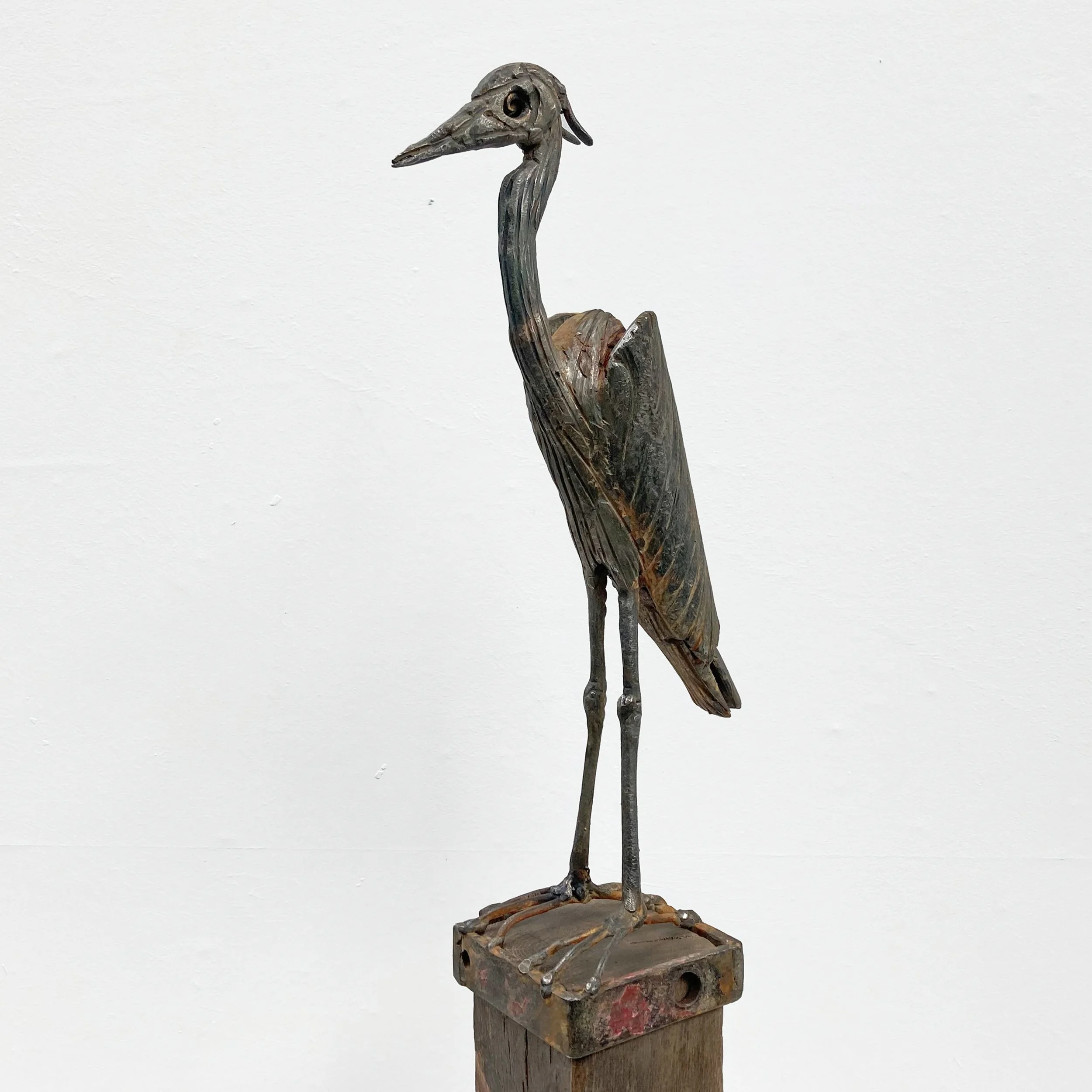 heron 7.jpg