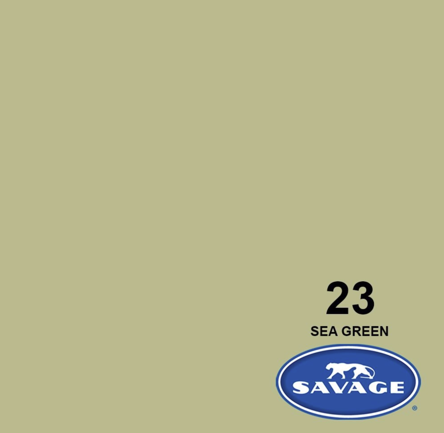 Screenshot 2023-10-24 at 3.14.32 PM.png