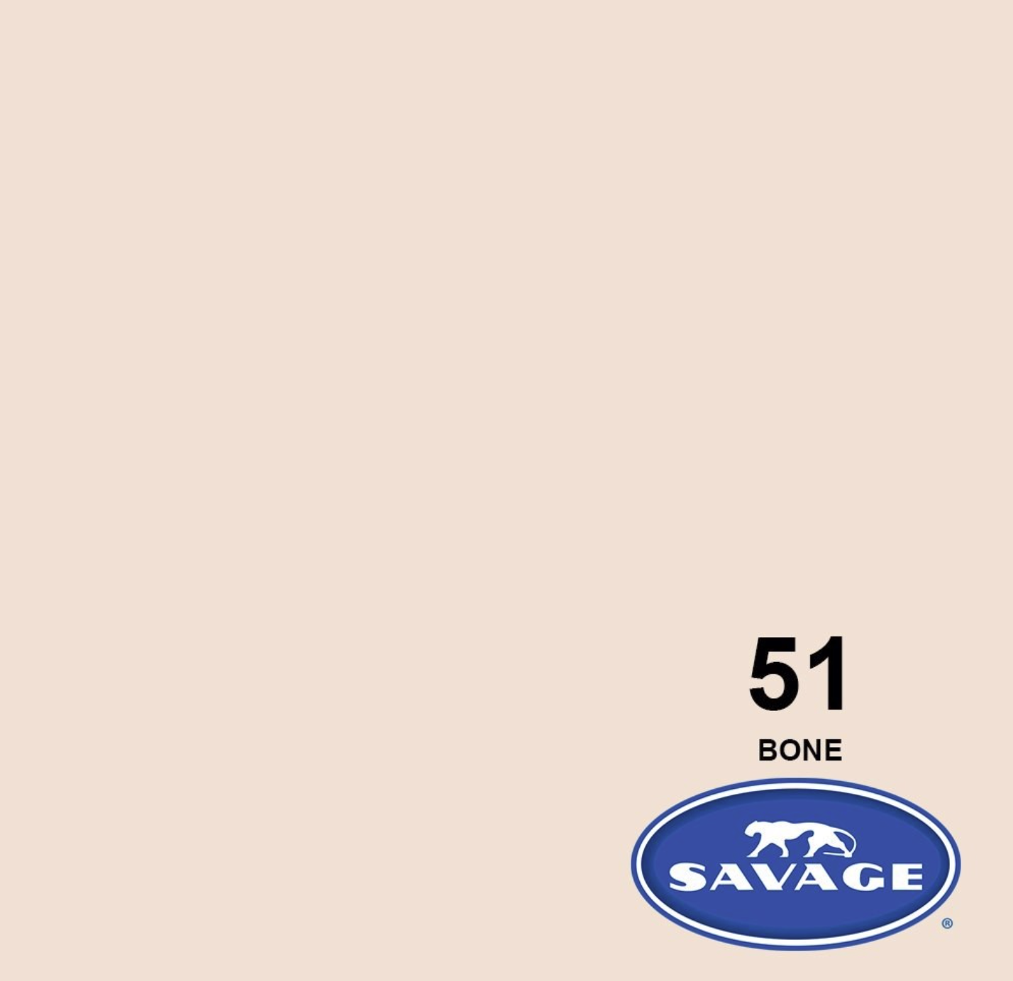 Screenshot 2023-10-24 at 3.18.16 PM.png