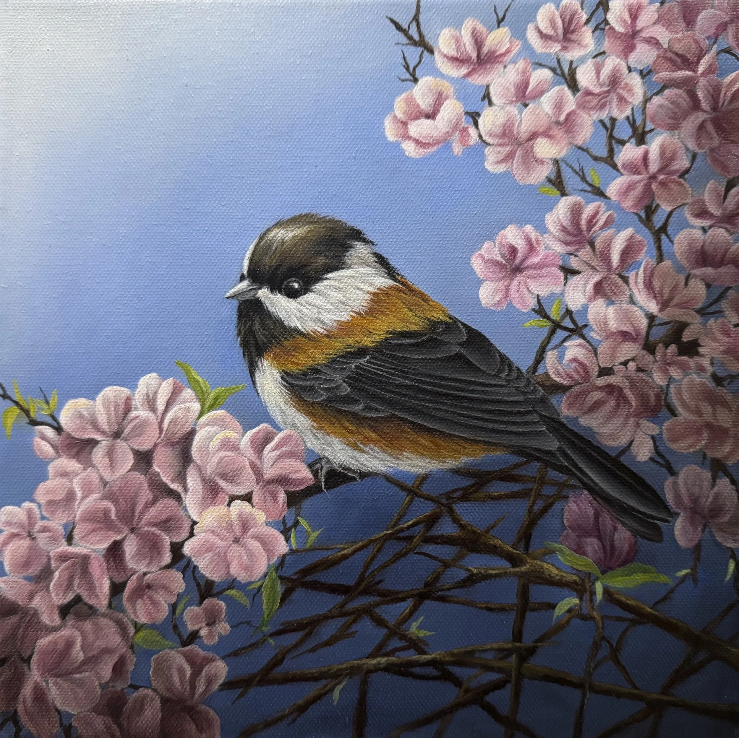Little Chickadee , Framed Oil on canvas, 10"x10"