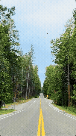 Driving slowly down a two-lane road in the Tahoe National Forest.