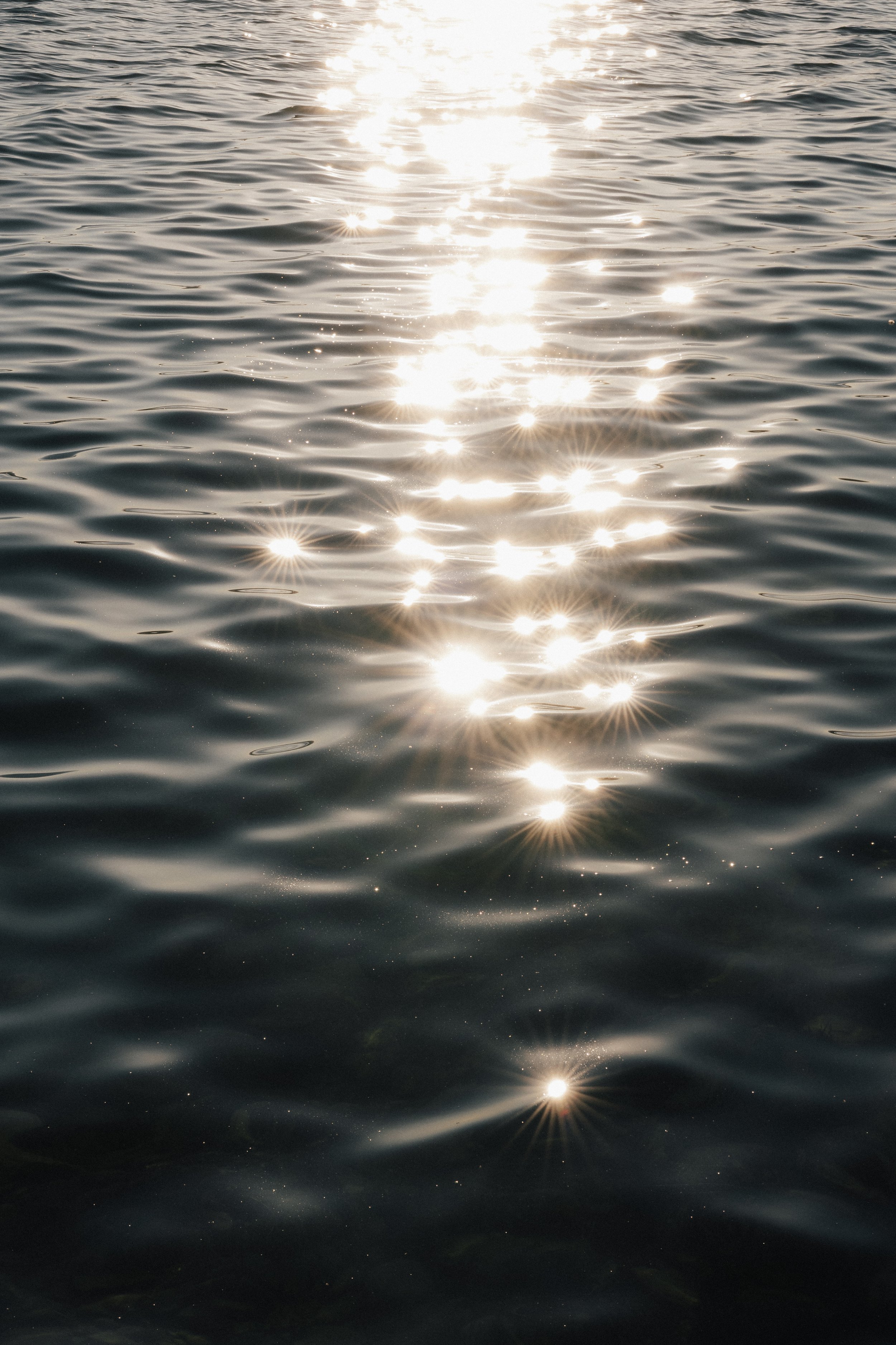 Annemarie und Ali_Theresa Dehmer-1445166.jpg