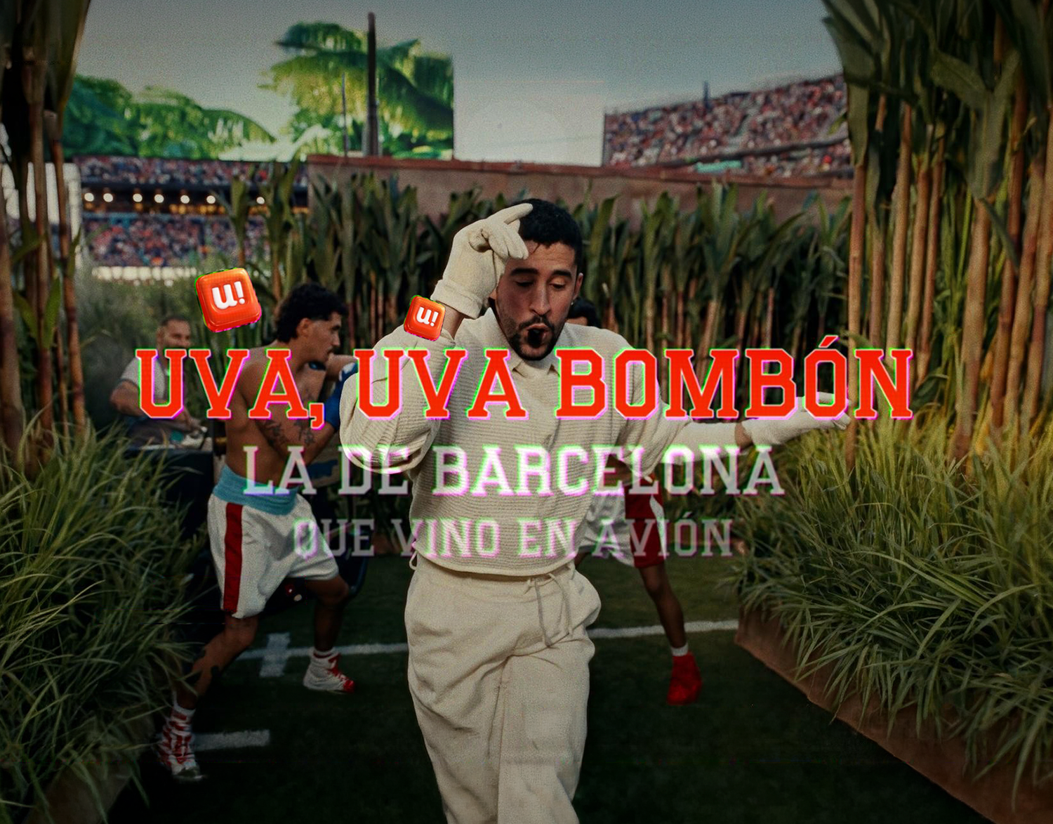 Uva Uva Bombón