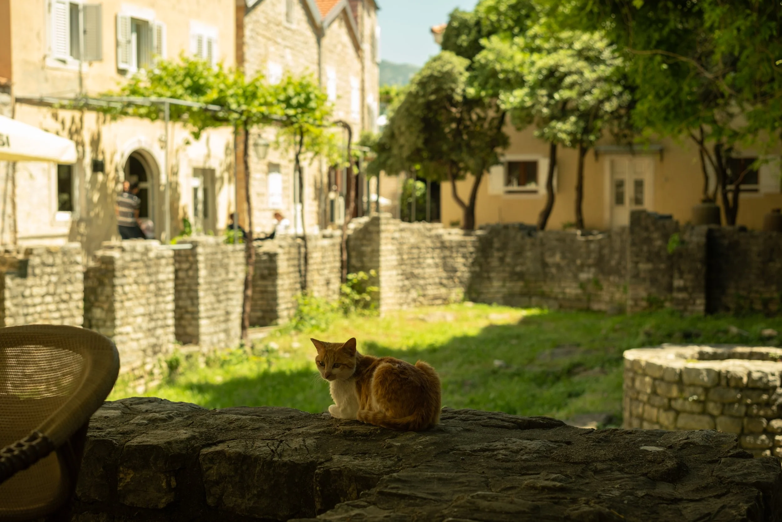 montenegro, budva-32.jpg