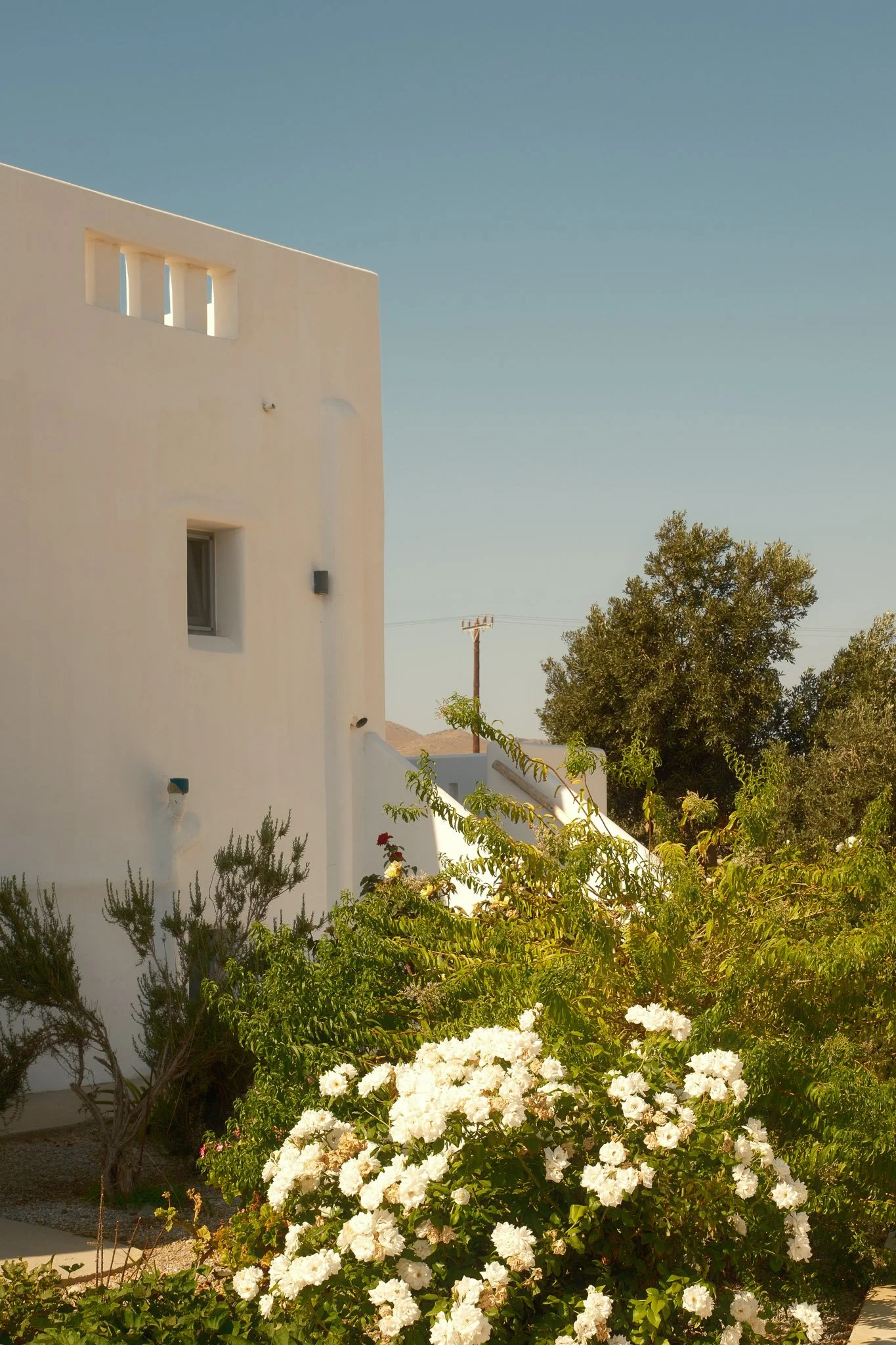WhiteCocoonVillas-03.jpg