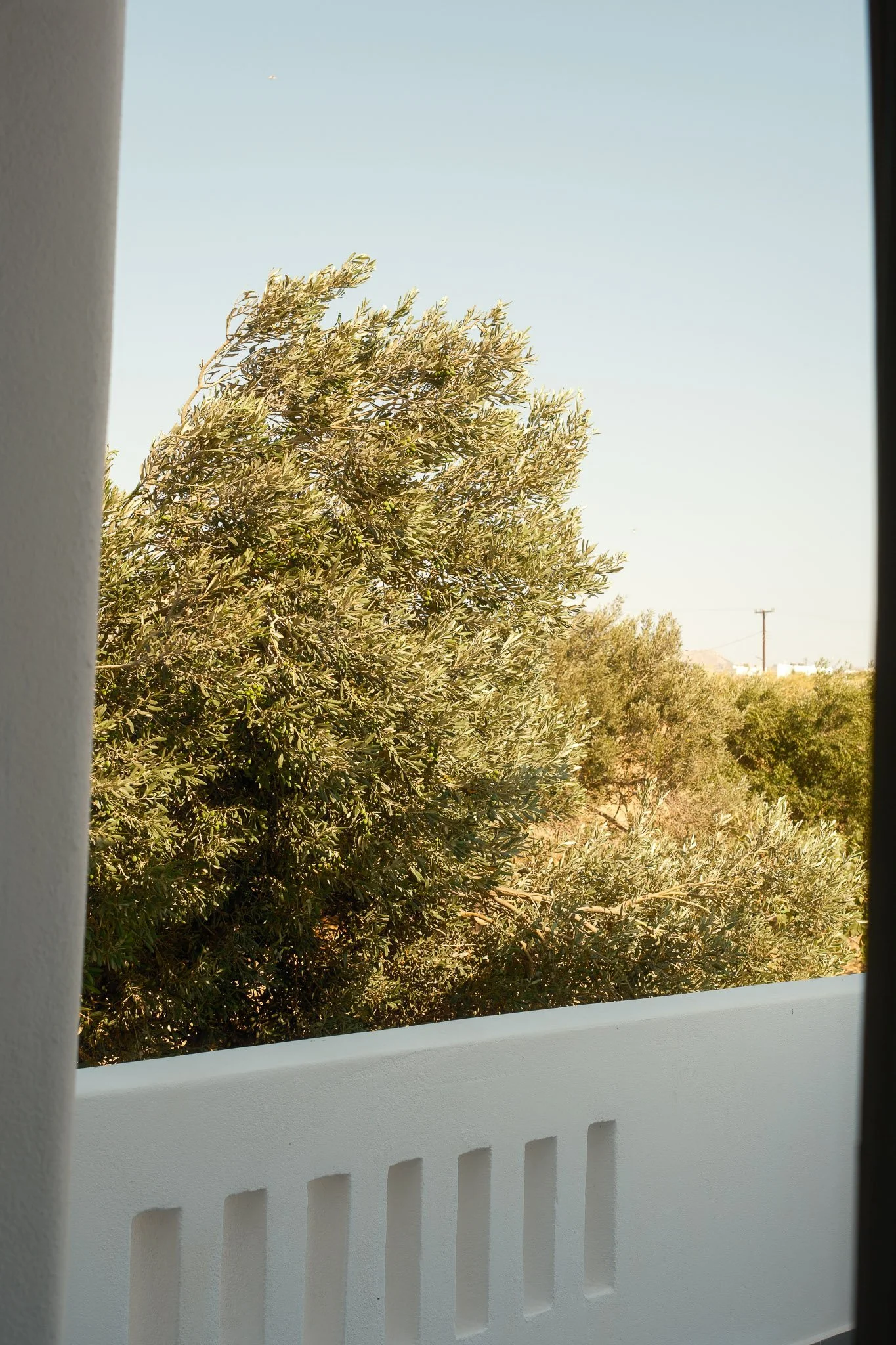 WhiteCocoonVillas-22.jpg