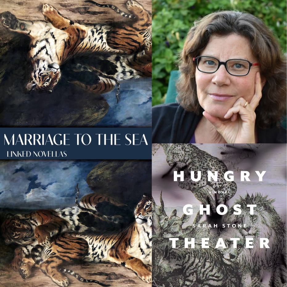 Author Sarah Stone on Her Book Publicity Story