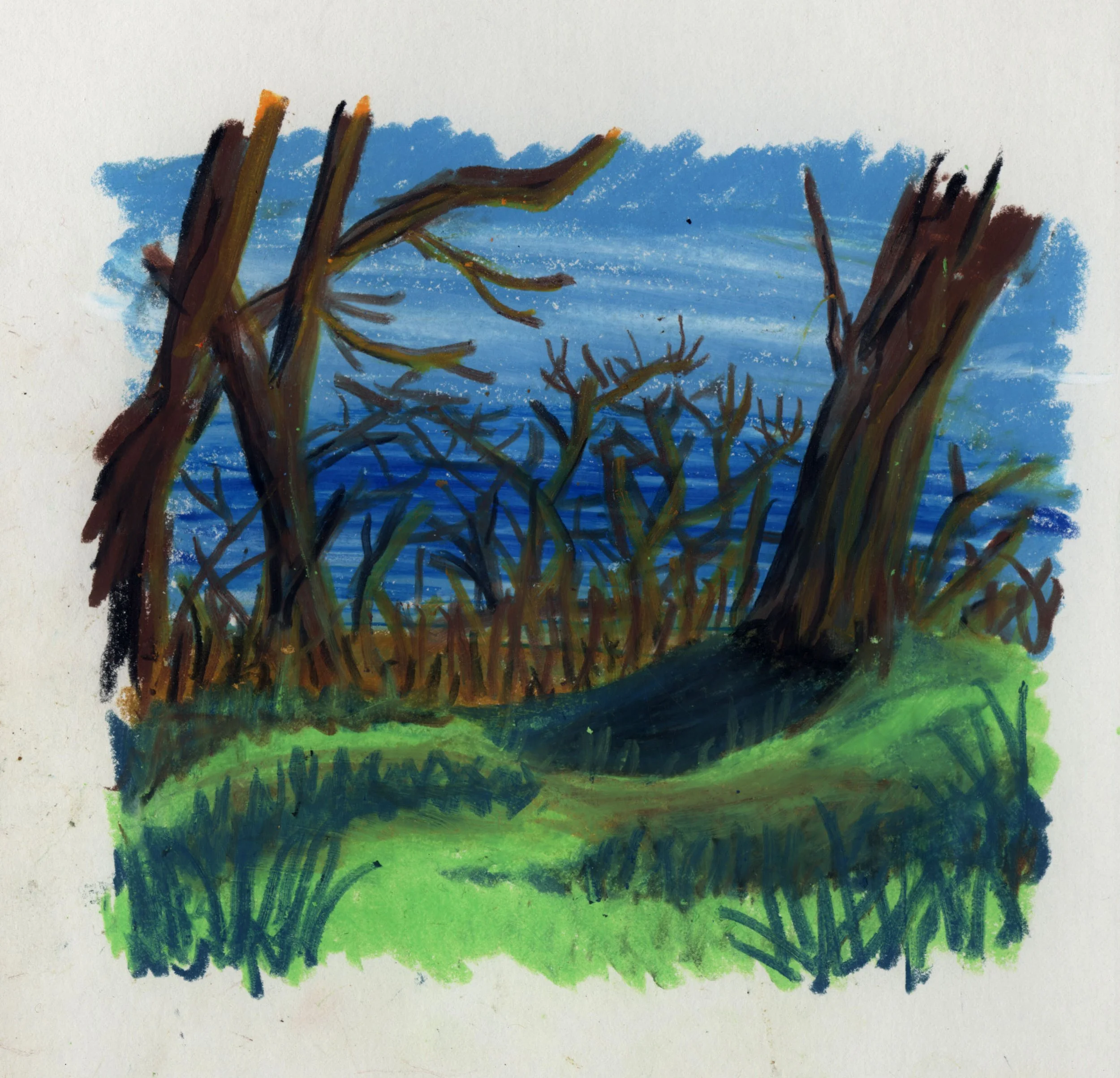 2020 Lake Michigan spring study 2.jpg