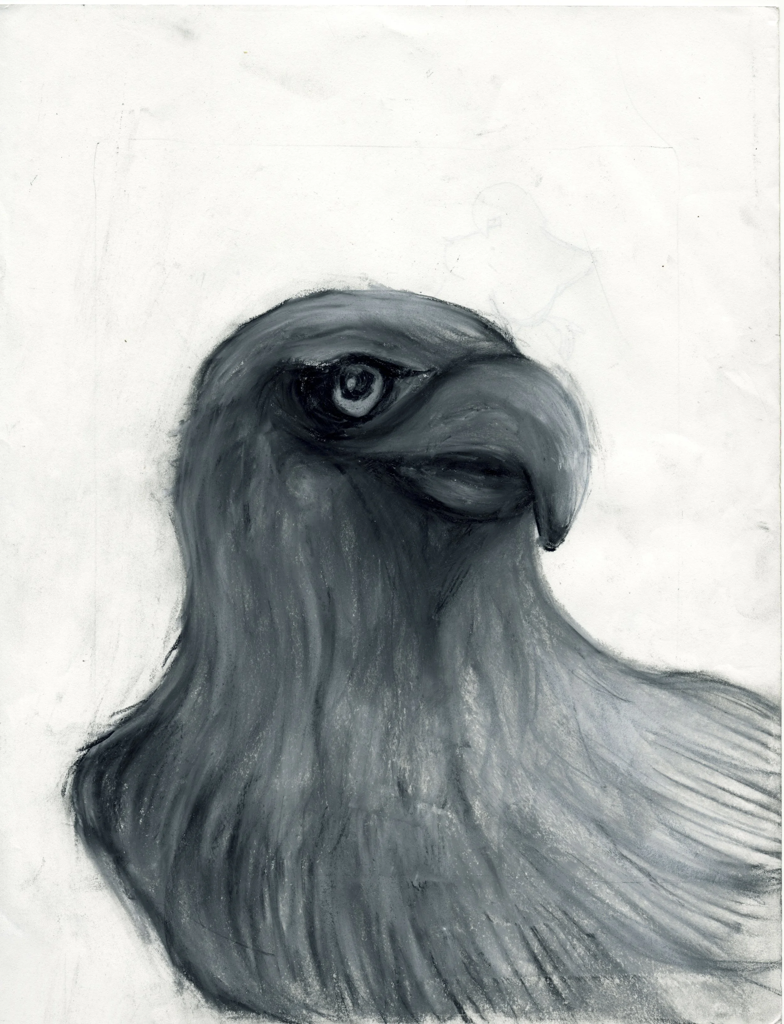 eagle copy.jpg