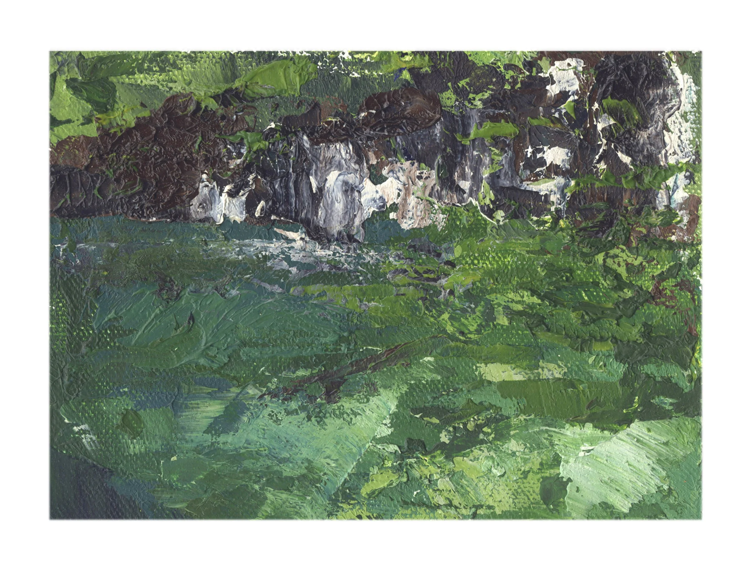 Hanging Lake 2018 white border.jpg