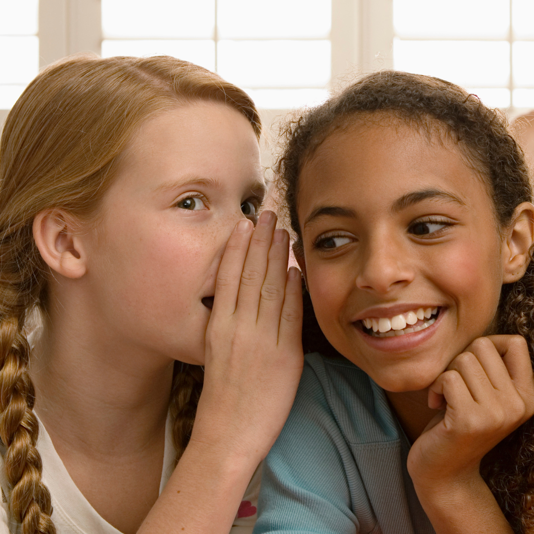 Fierce Friends: Building Strong, Balanced Friendships- Ages 8-11 ...