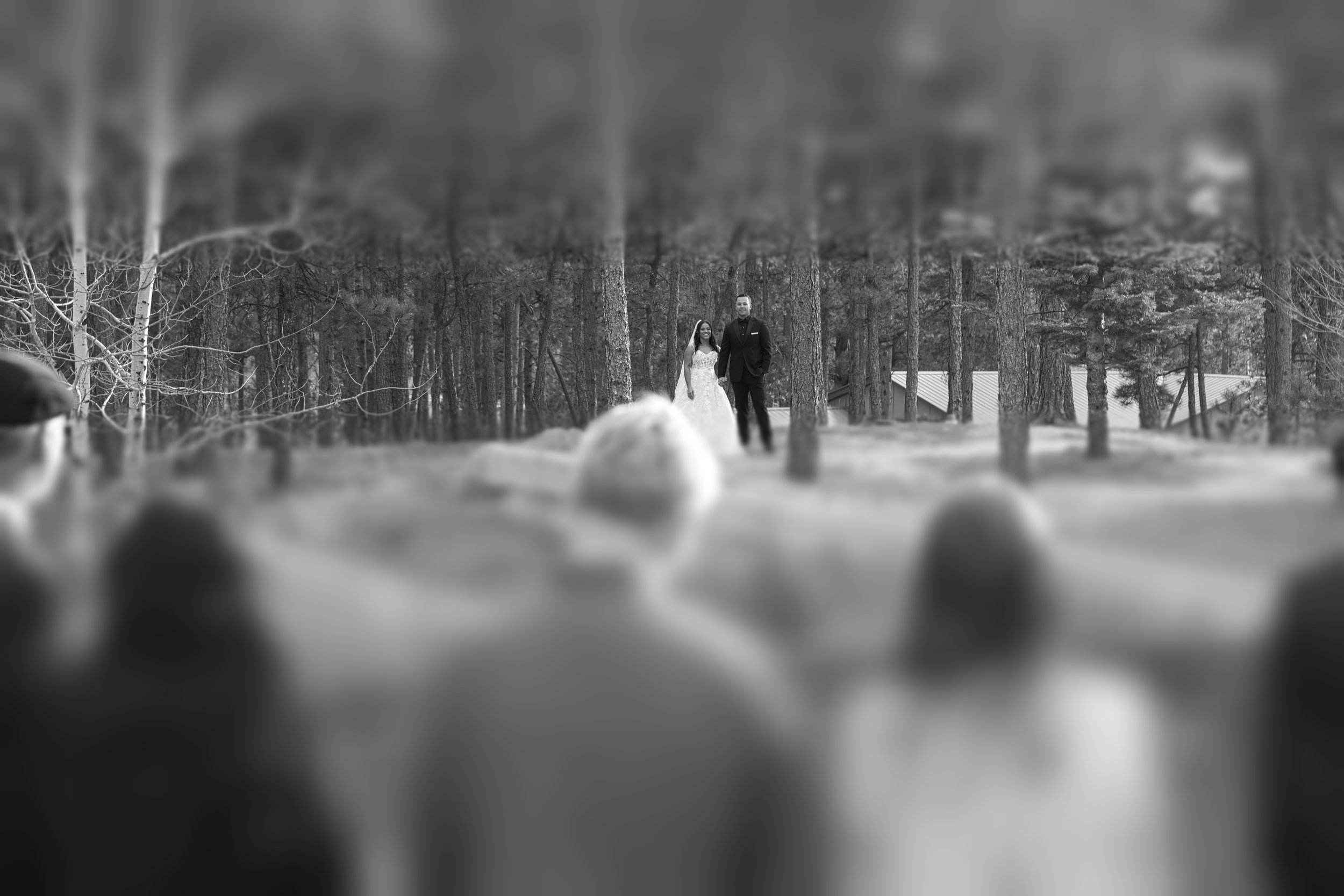 DSC06812.jpeg