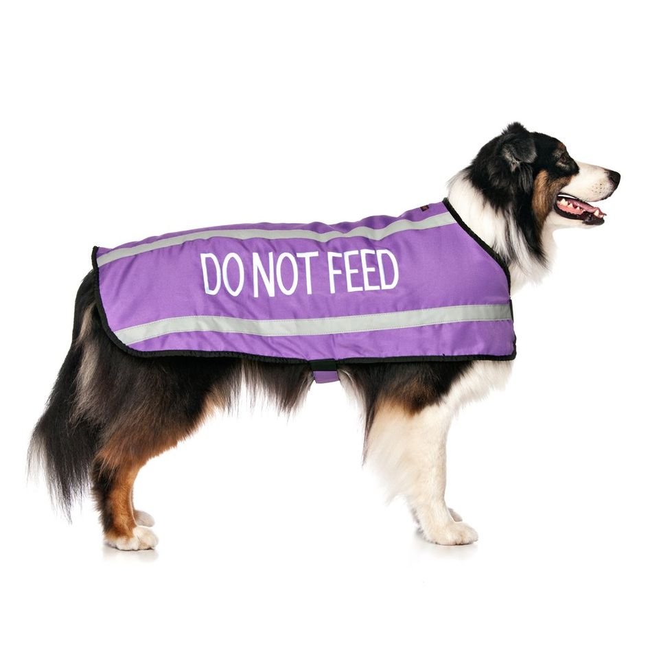 dnf - l - coat.jpeg
