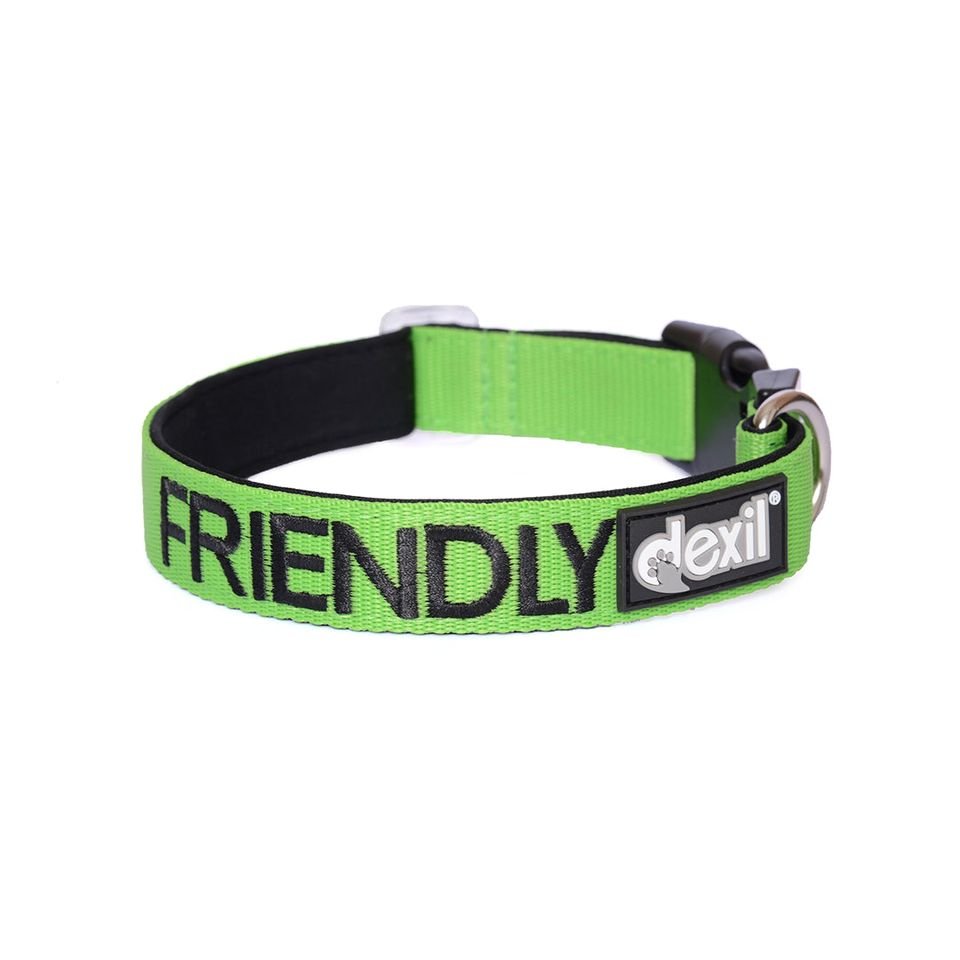 Friendly - Collar.jpeg