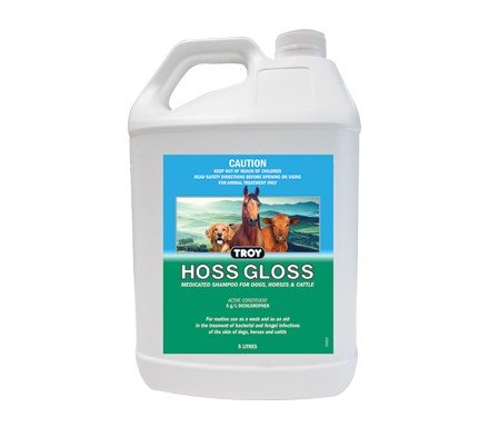hoss gloss 5.jpeg
