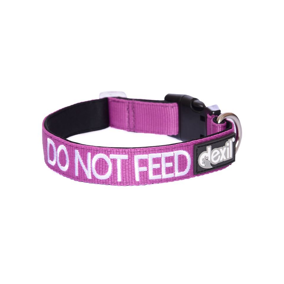 DNF - collar.jpeg