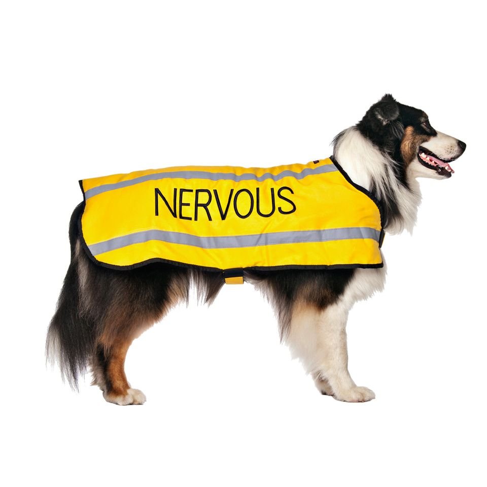nervous - l - coat.jpeg
