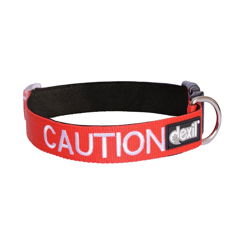 Caution - Collar.jpeg