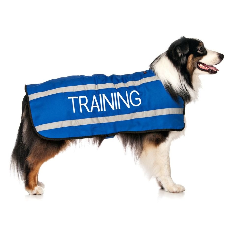 training - l - coat.jpeg