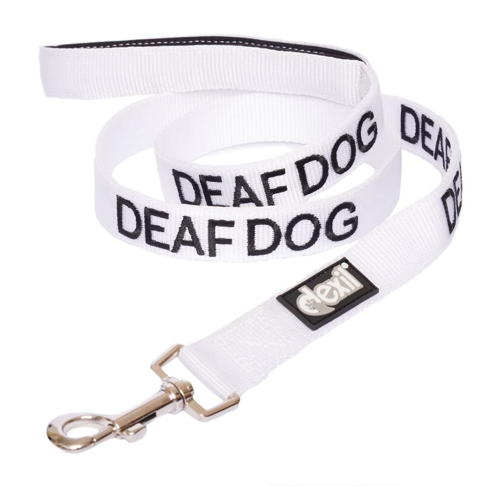 DD - Lead - 120.jpeg