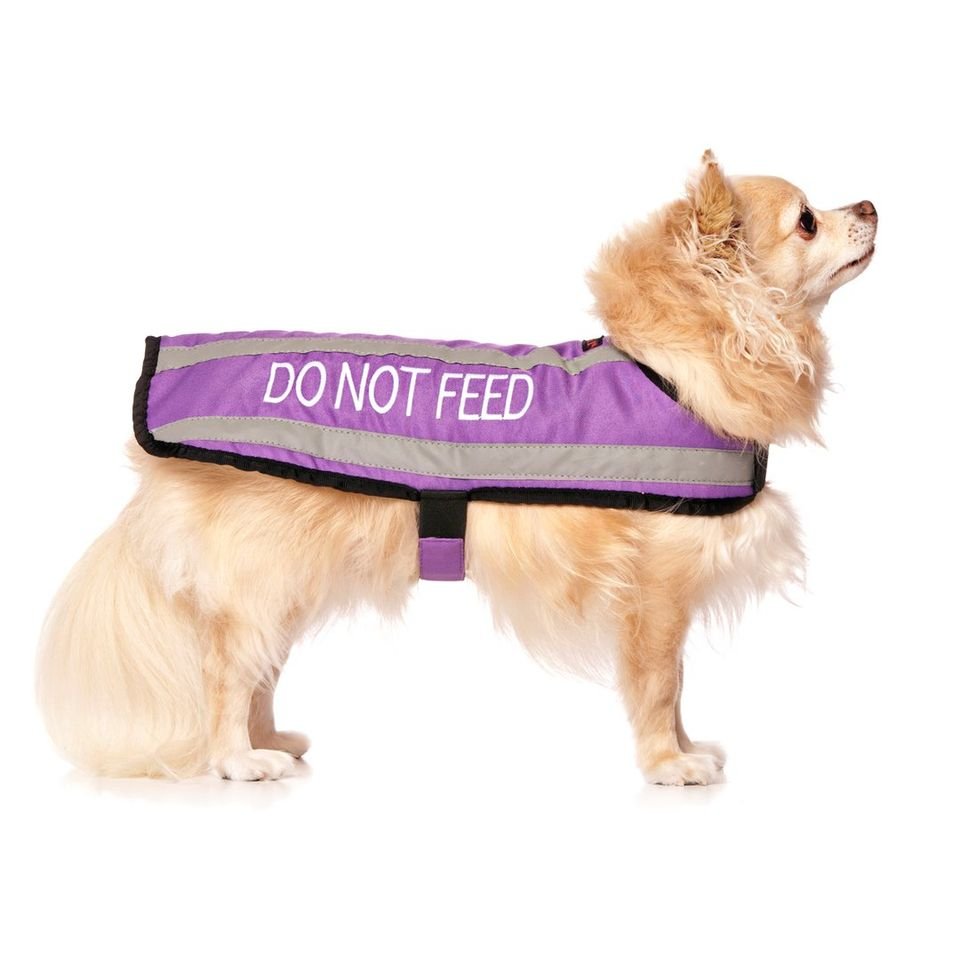 DNF s - coat.jpeg