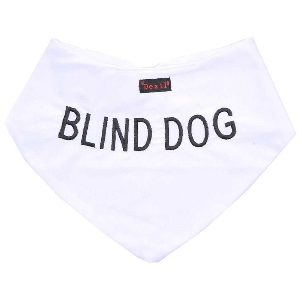 Blind Bandana.jpeg
