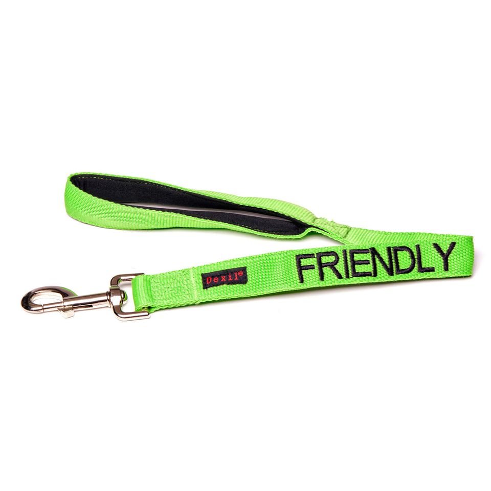 Friendly lead - 60.jpeg