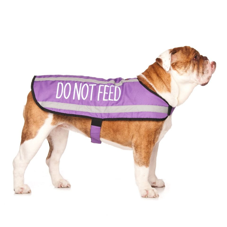 Do Not Feed Coat.jpeg