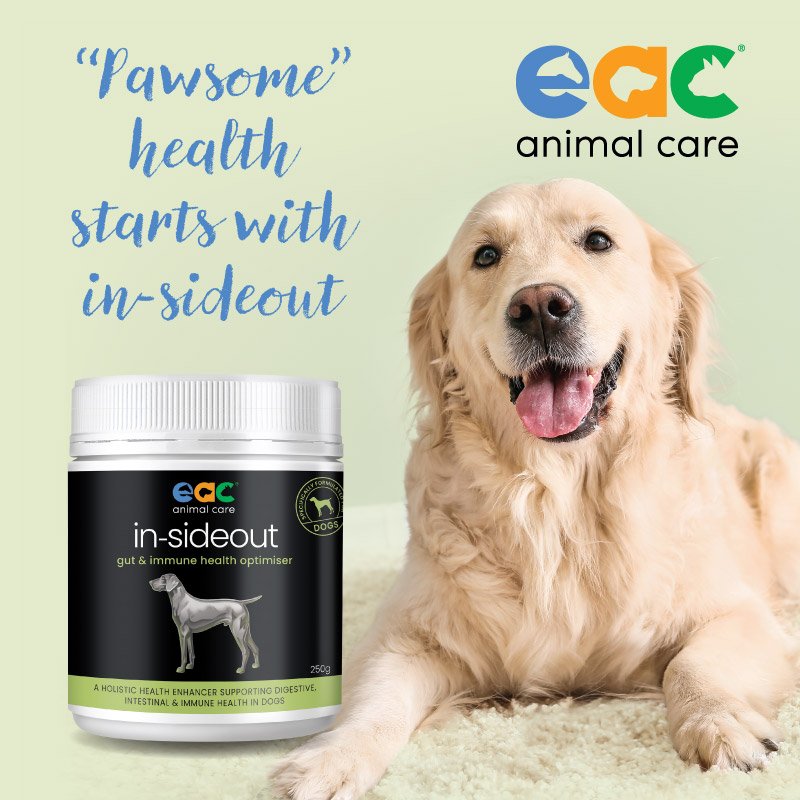 EAC DOG.jpeg