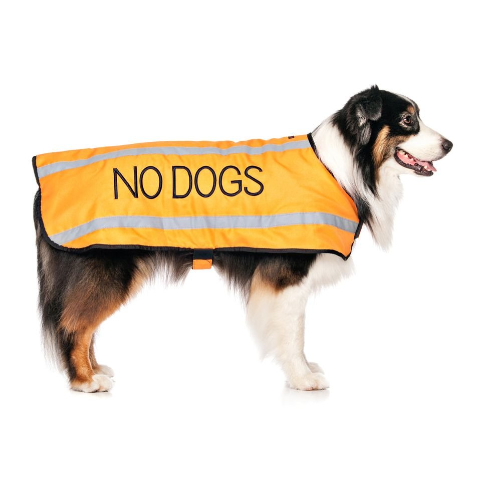 nd - l - coat.jpeg