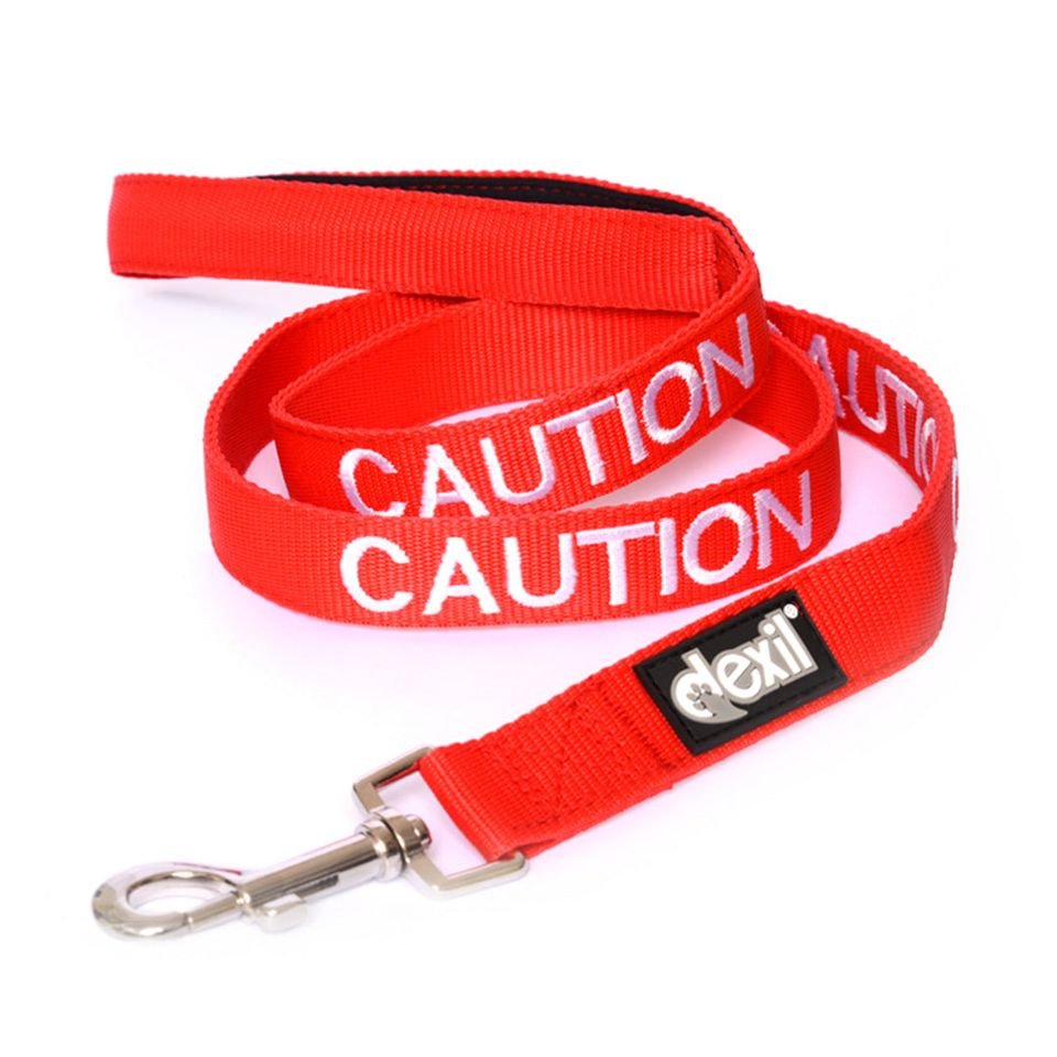Caution lead - 120.jpeg