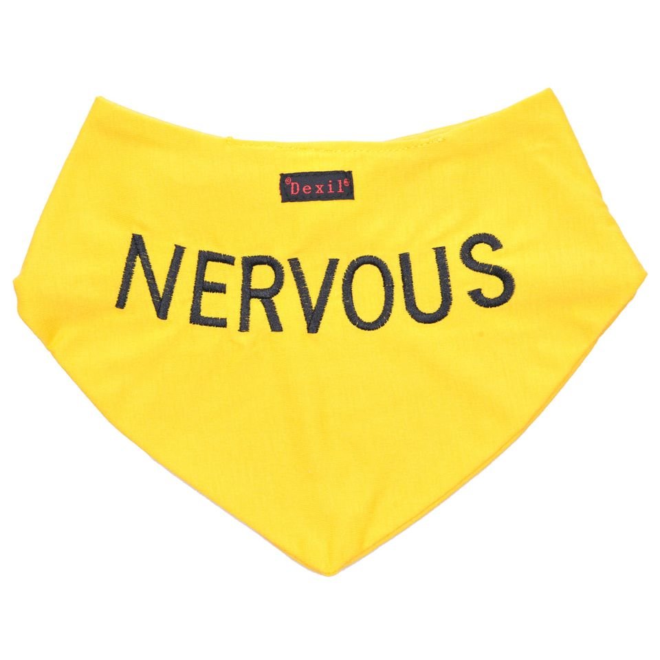 Nervous Bandana.jpeg