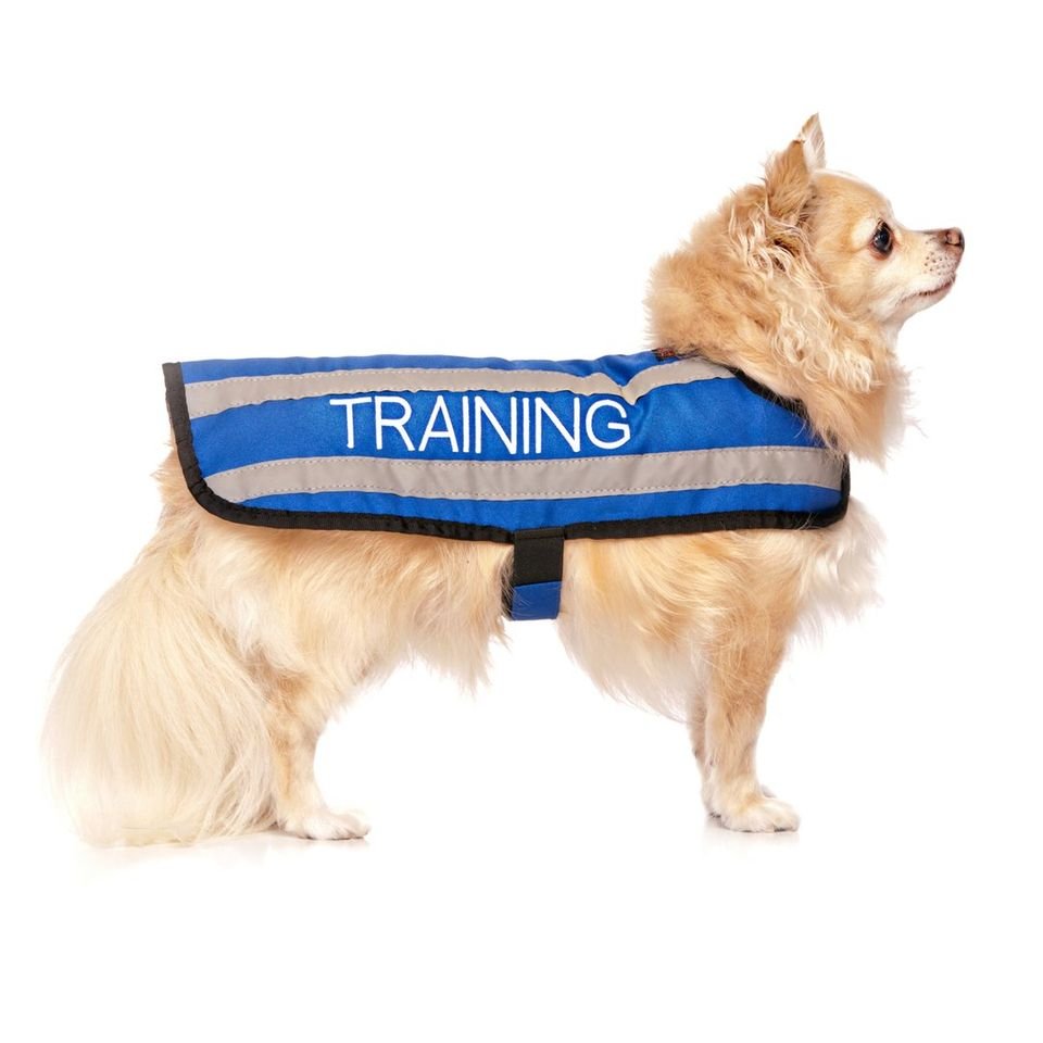 Training s - coat.jpeg