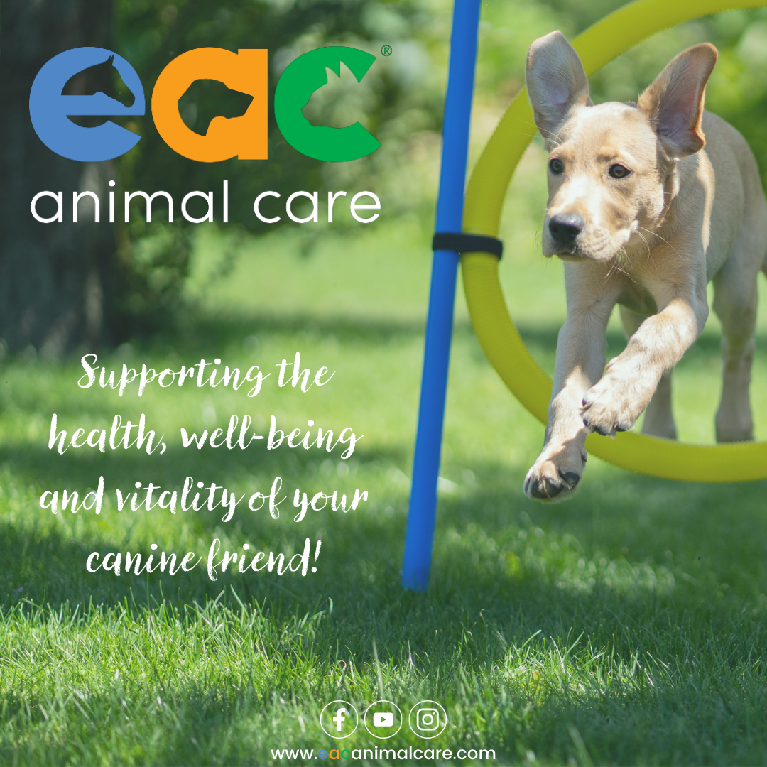 EAC Dog .png