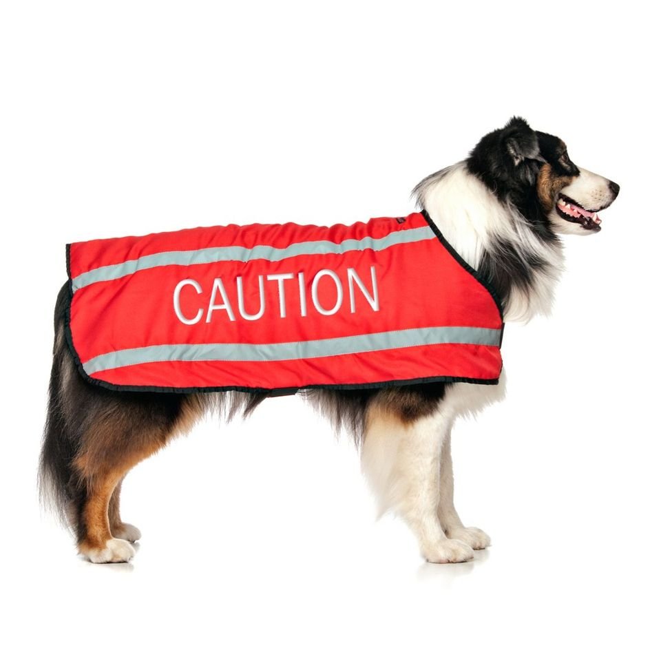 caution - l - coat.jpeg