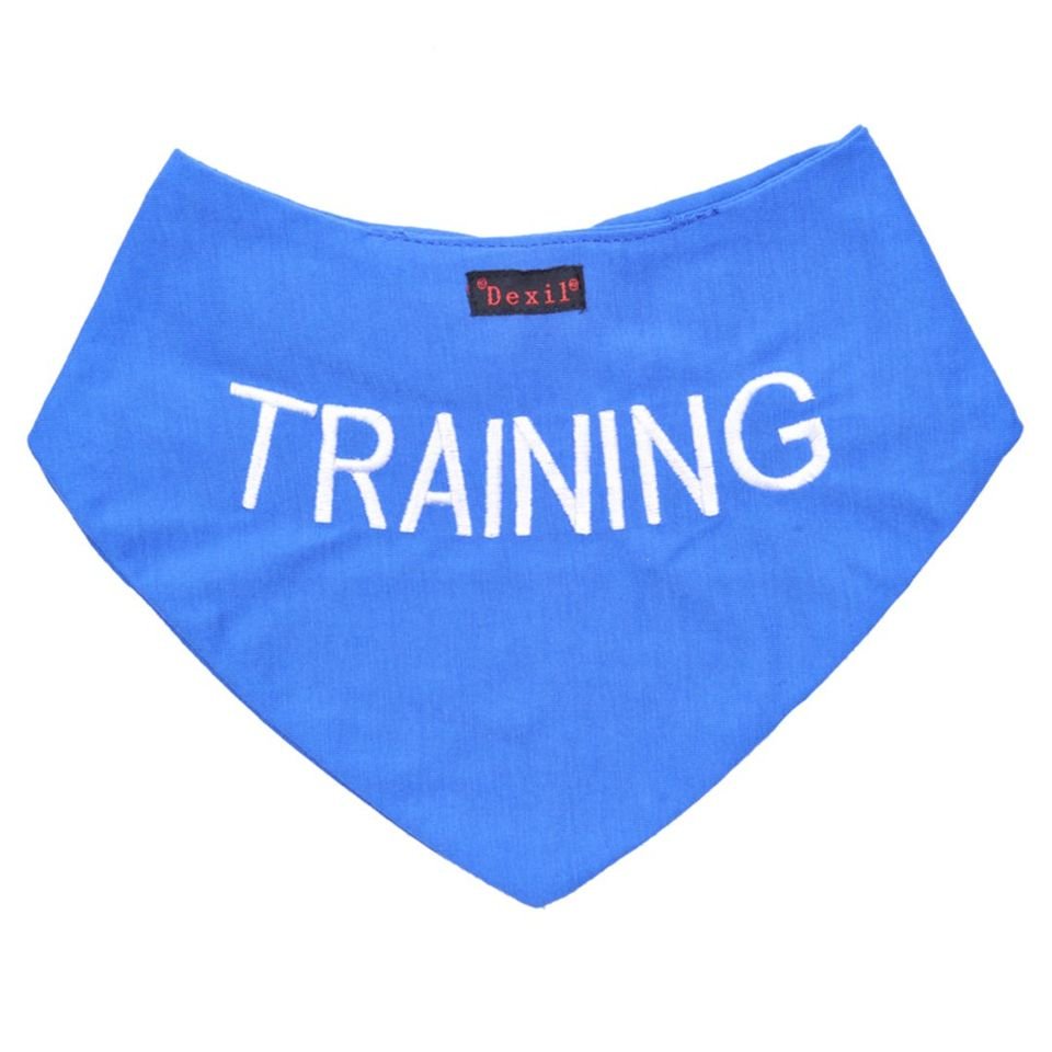 Training Bandana.jpeg