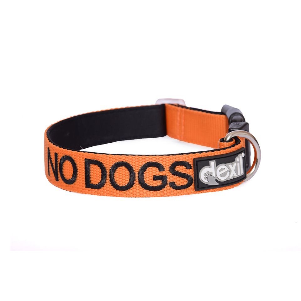 ND - Collar.jpeg