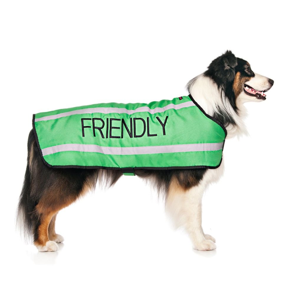 Friendly Coat.jpeg