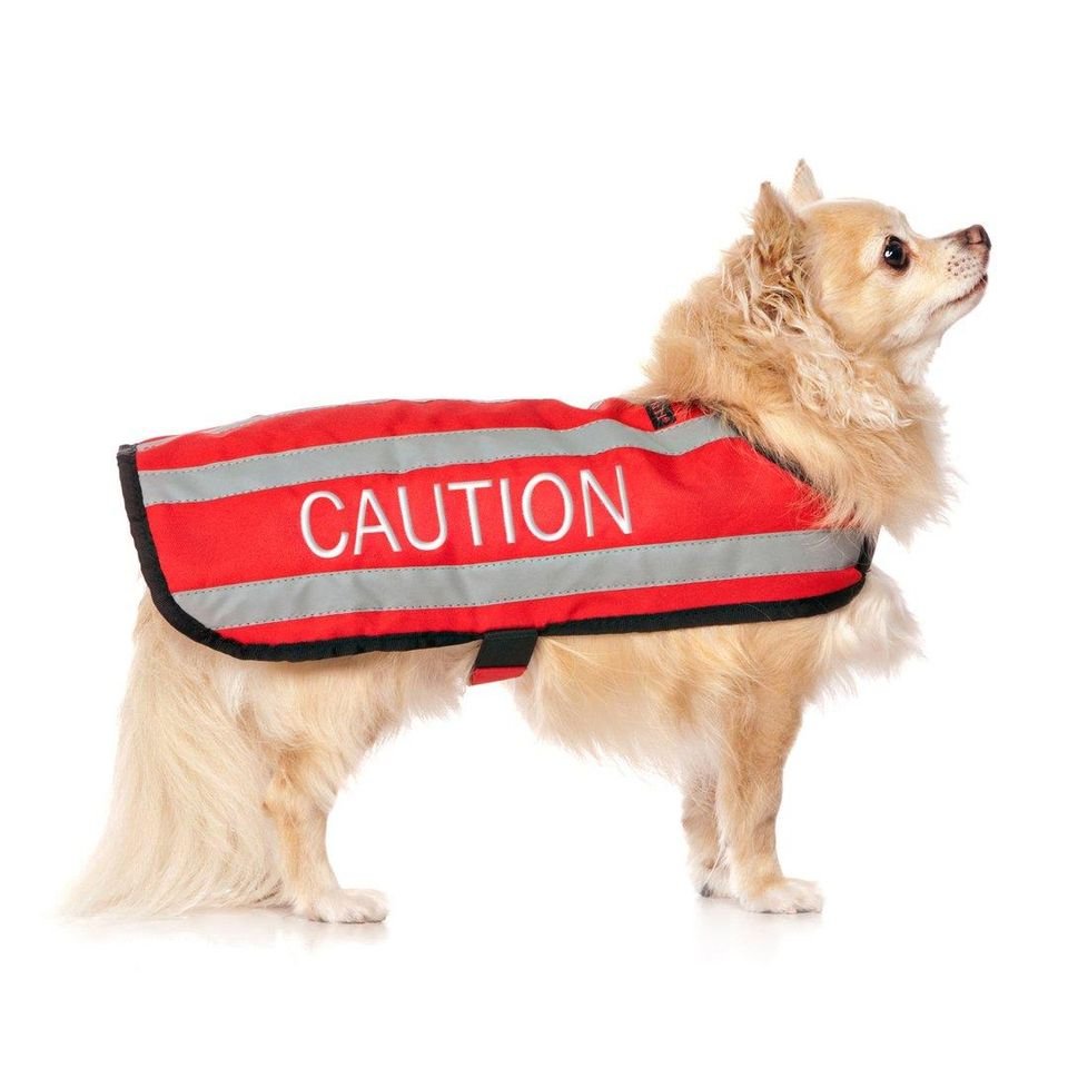 Caution s - coat.jpeg