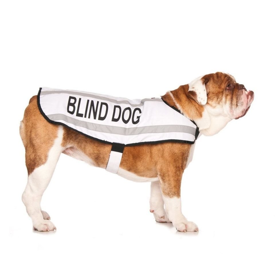 BD - m - coat.jpeg