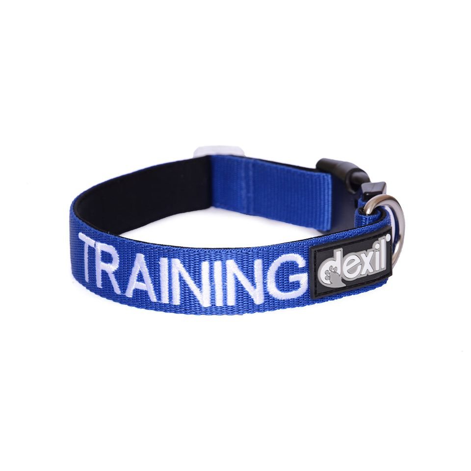 Training - Collar.jpeg