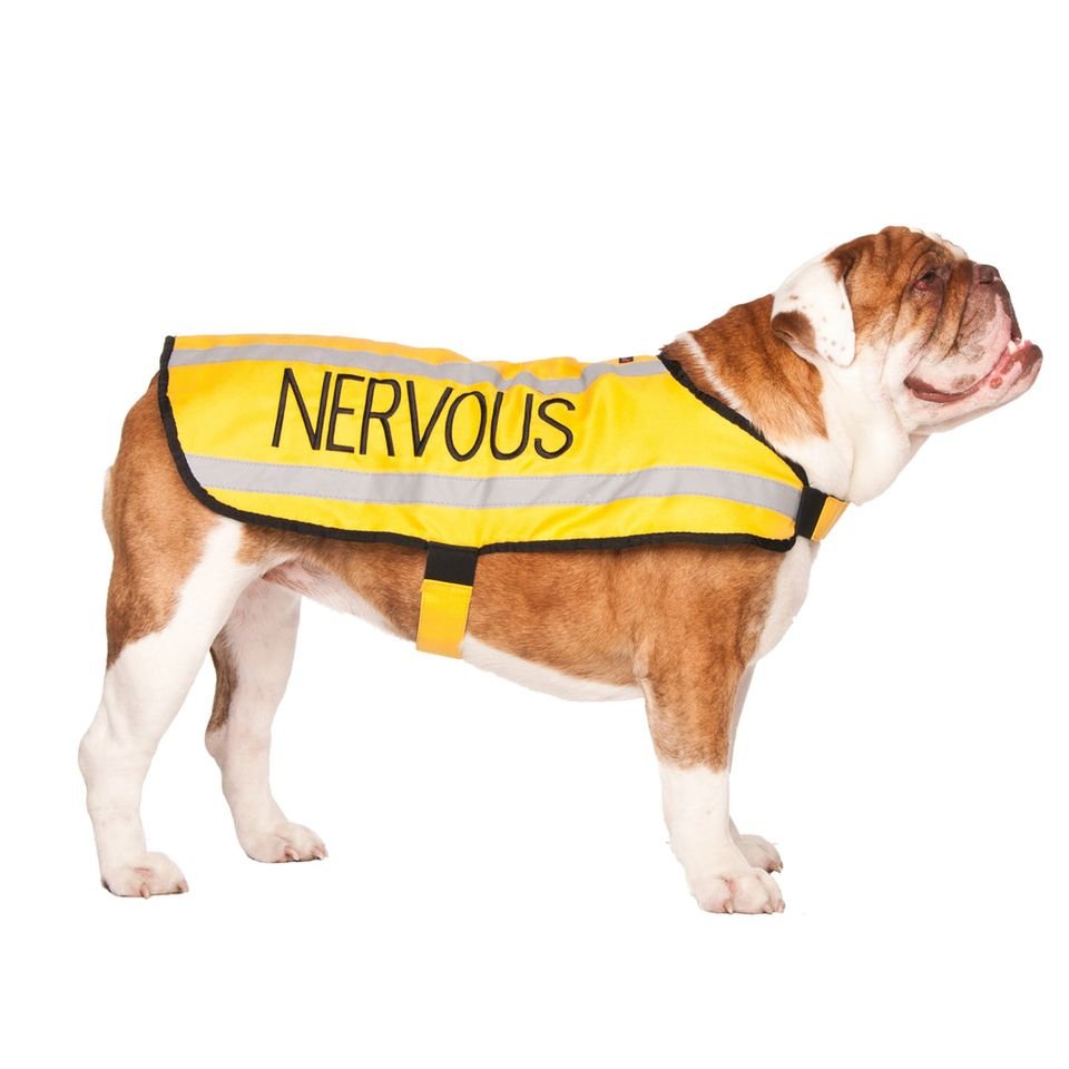 Nervous - m - coat.jpeg