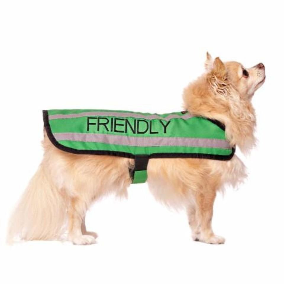 FS coat.jpeg