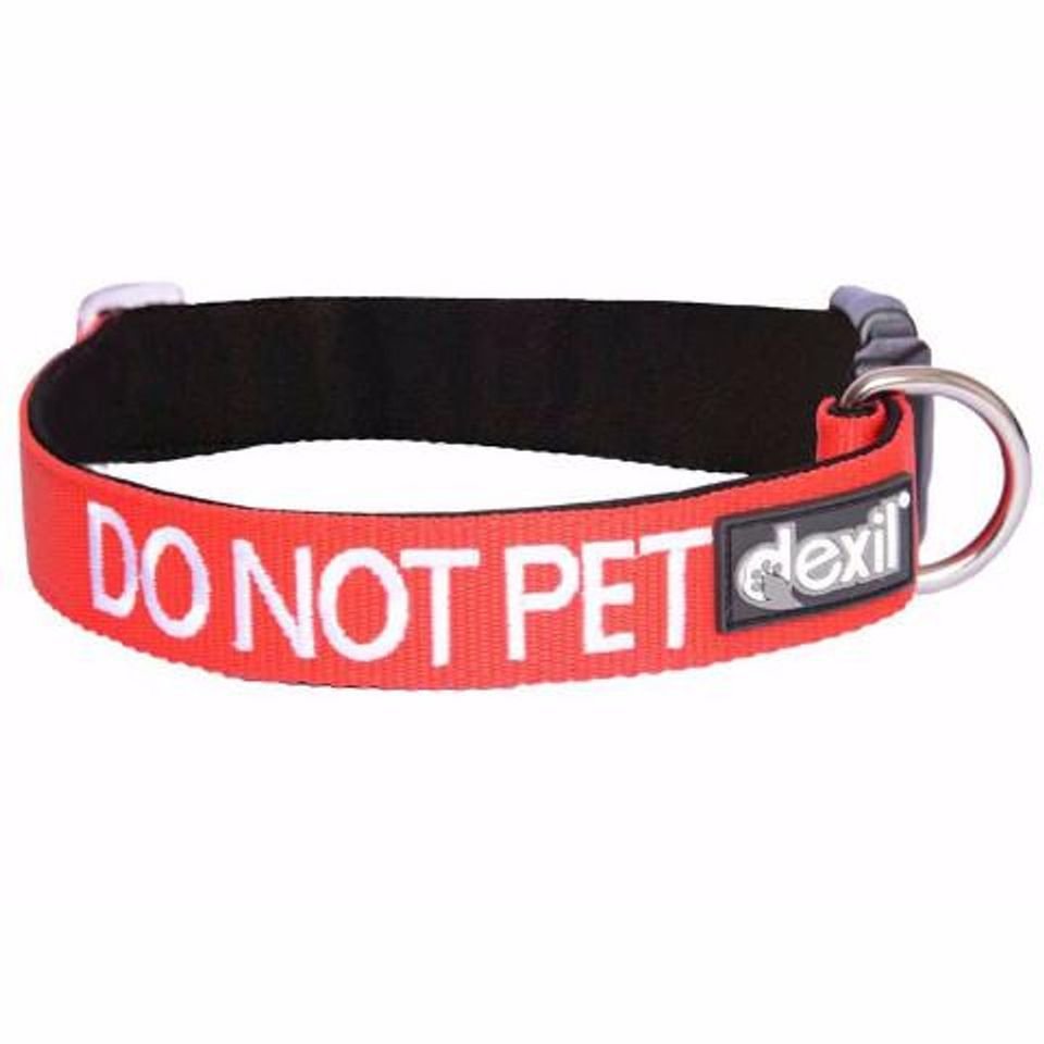 DNP - Collar.jpeg