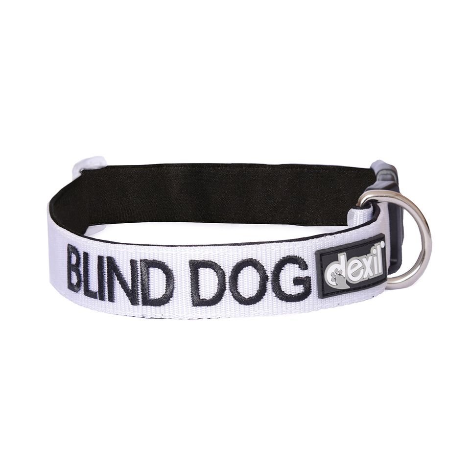BD - collar.jpeg
