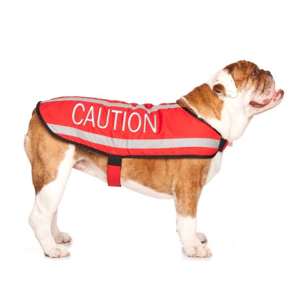 Caution Coat.jpeg