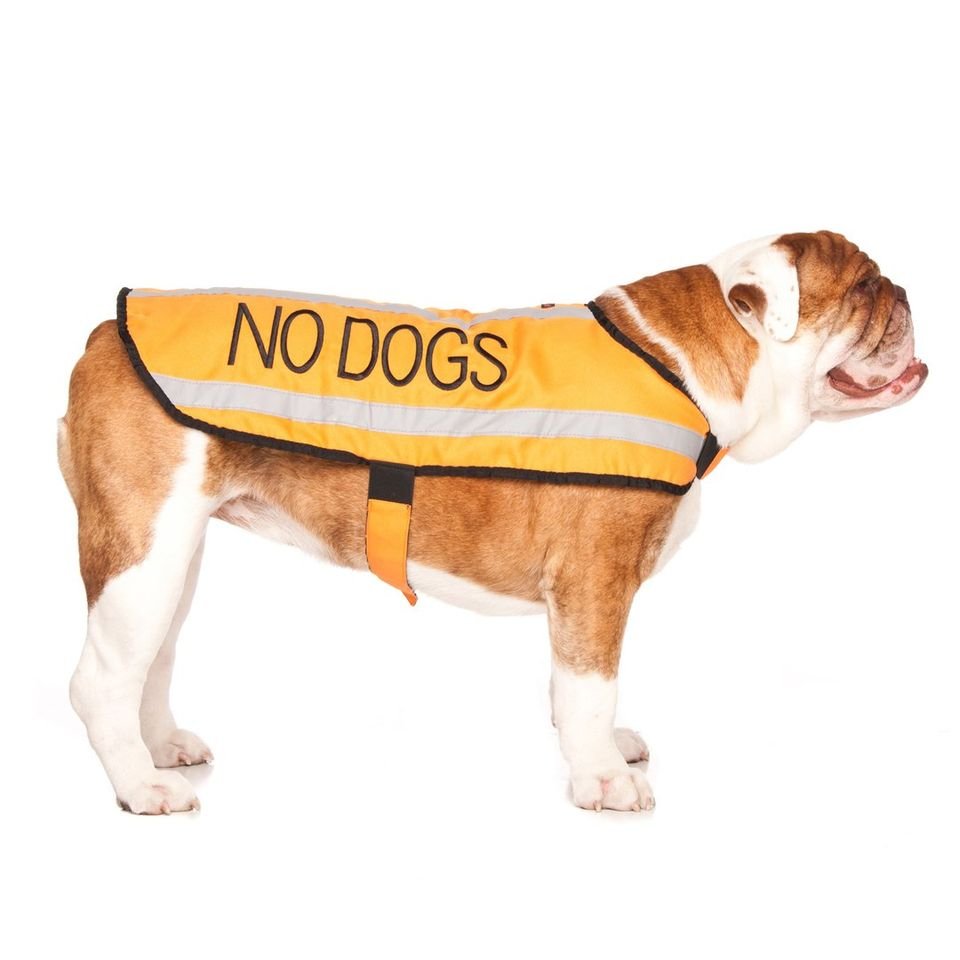 nd - m - coat.jpeg