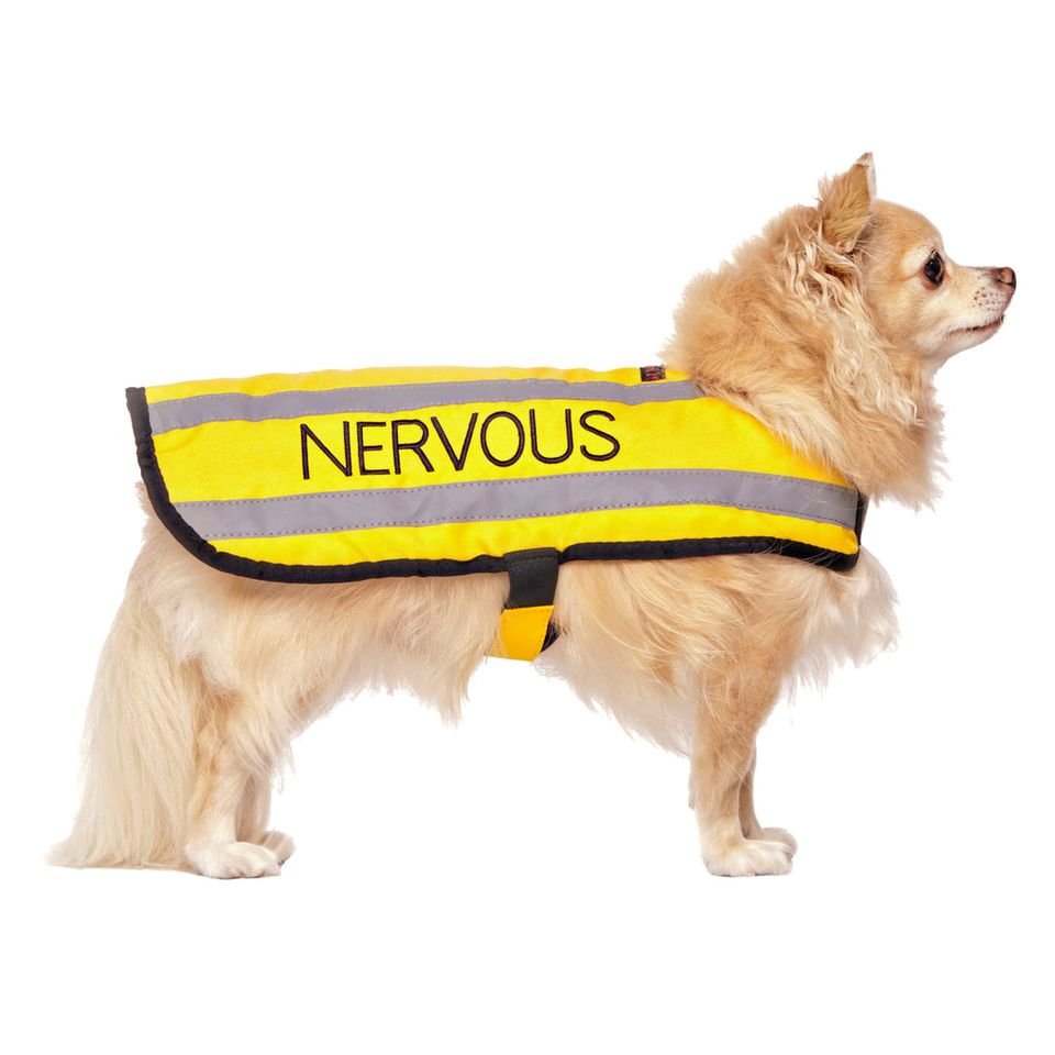 Nervous Coat.jpeg