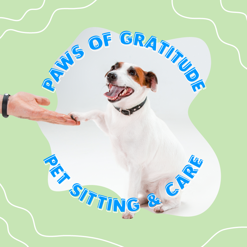 Paws of Gratitude pet sitting & car with human shaking dog's paw
